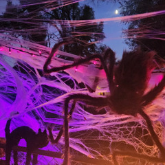 Dance.Spider.Dance.Ahlunama