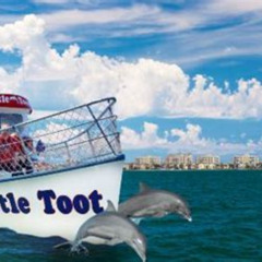 Best Little Toot Dolphin Adventure At Clearwater Beach Tours Review