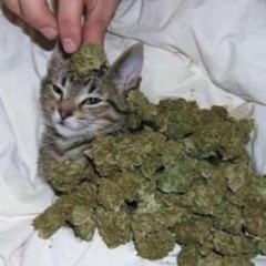 КЕРЯ - ЕБАНЫЕ ШИШКИ.mp3