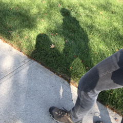 withorwithout (parcels cover)