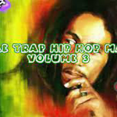 Reggae Hop Volume 3 - Hip Hop Megamix (Lil Uzi Vert, Post Malone, Travis Scott, DaBaby..)