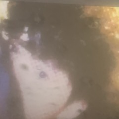 till the grave prod. disectyrhart