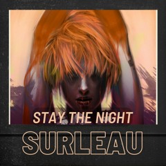 Stay The Night (Surleau Mashup)