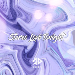 Stereo Love Tonight ( DZER Remix )