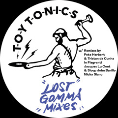 Never Stop Believing (Nicky Siano Remix)