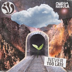 Never Too Late