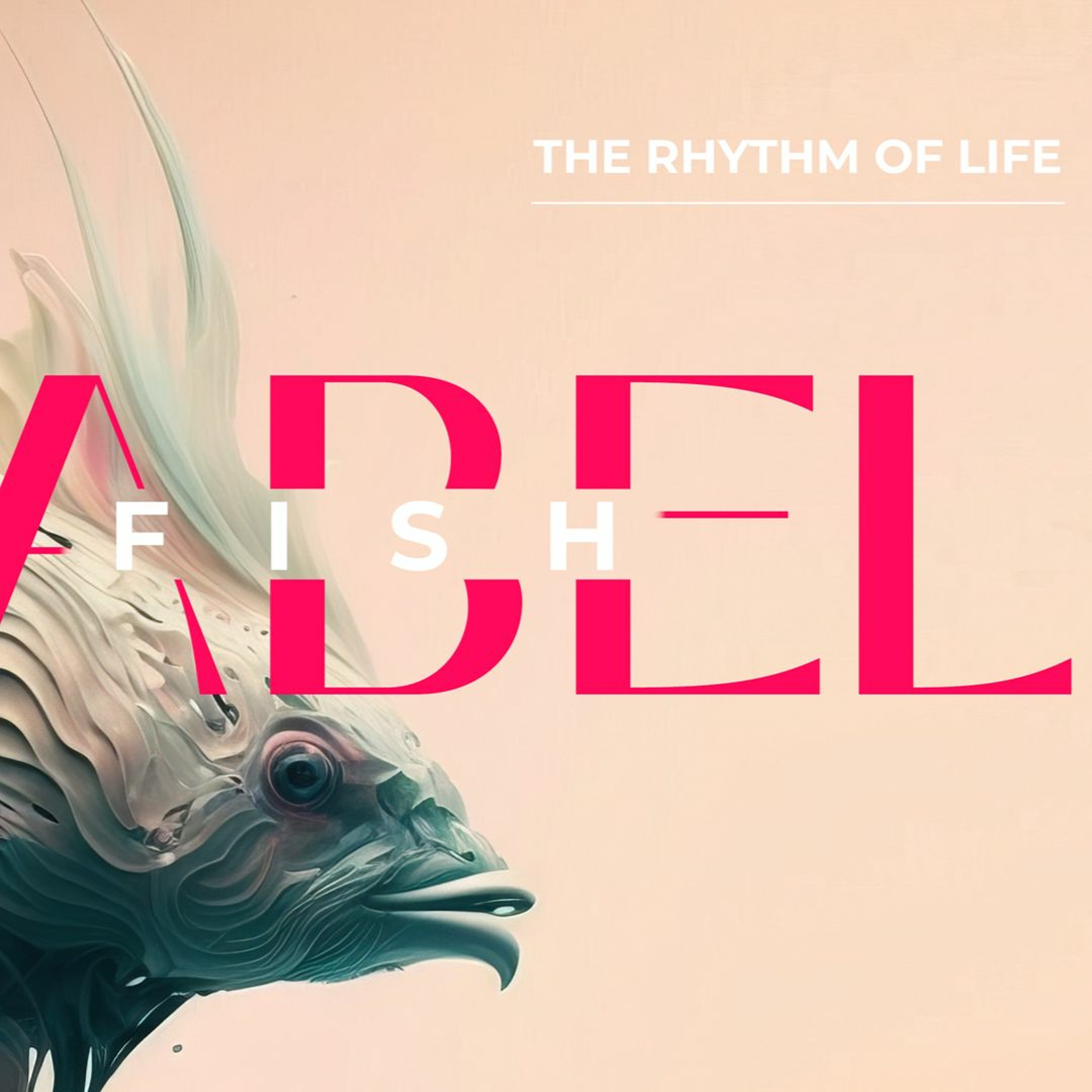 The Rhythm of Life - Babel Fish | Ps Chris | Sunday 19 February episode artwork