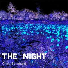 The Night