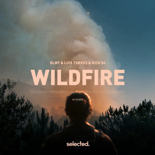 DLMT x Luis Torres & Rico 56 - Wildfire