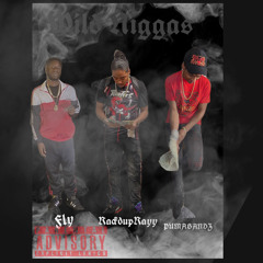 PumaBandz -WILD NIGGAS Ft StayFly X RackdupRayy