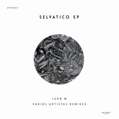 Juan M - Selvático (Johan Dresser Remix)