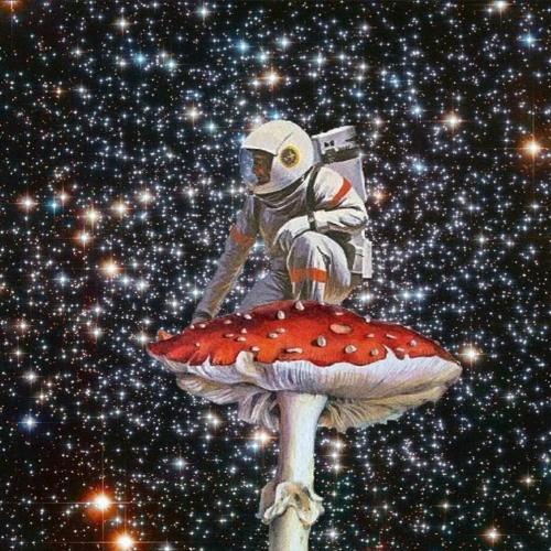 Astronaught