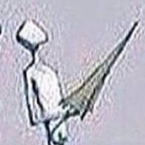 KELLERKIND IM DACHGESCHOSS  (prod. lil ding dong)