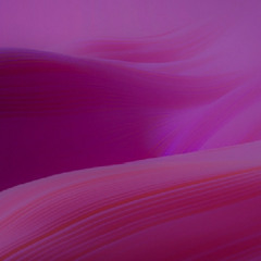 Bows of Reminiscence