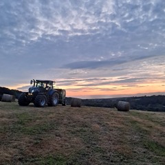 Agri Ryan