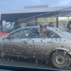 diamond + @fqerty223