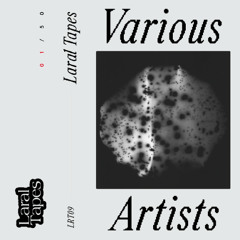 Mazewski & Hizuo - Room Temp