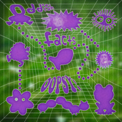 OOPSY w/ Oddish facts (08/07/25)