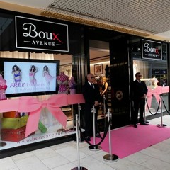 Professor Paypig Ch 1