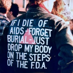 Silence = Death: The Cultural Impact of the AIDS Crisis