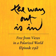 Free from Views in a Polarized World | TWOII podcast | Episode #36