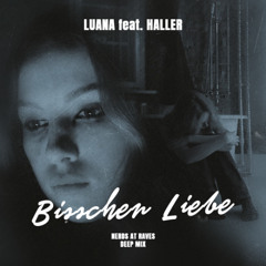 LUANA ft Haller - Bisschen Liebe (Nerds At Raves Deep Mix)