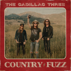 Stream Peace Love & Dixie by The Cadillac Three | Listen online
