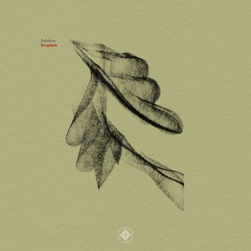 Indefinite Pitch PREMIERES. Delafore - Ephemeral Thoughts [Cellar Door]