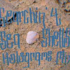 Holograms - Searchin' 4 Seashells... A Mix