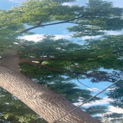 motions ft vega prod @laytonsto