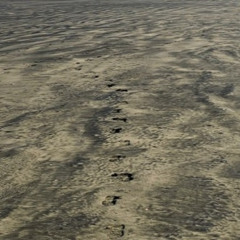 Silent Footsteps