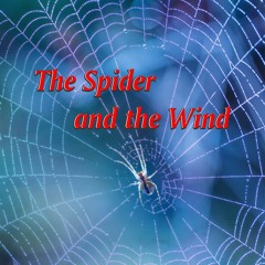 The Spider and the Wind