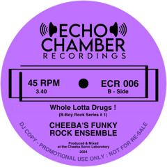 CHEEBA’S FUNKY ROCK ENSEMBLE Whole Lotta Drugs !