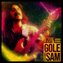 Gole sam