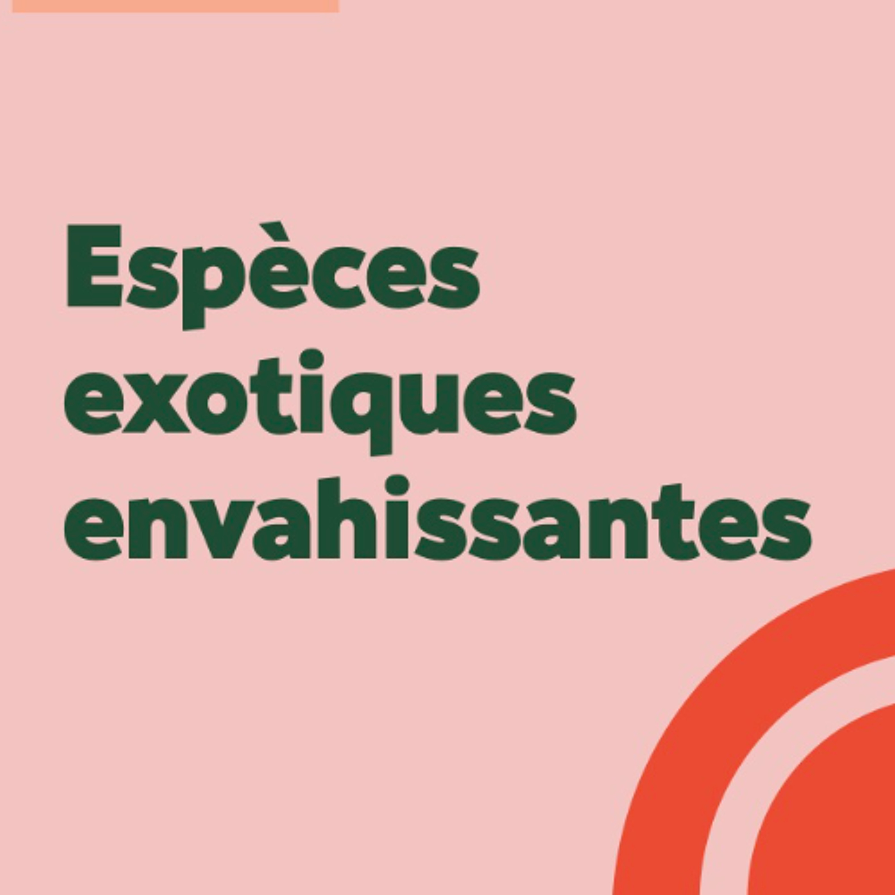 Podcast de RFL101.fr - L\'autre radio