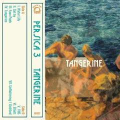 Unflattering / Untitled