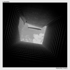 Perspectives