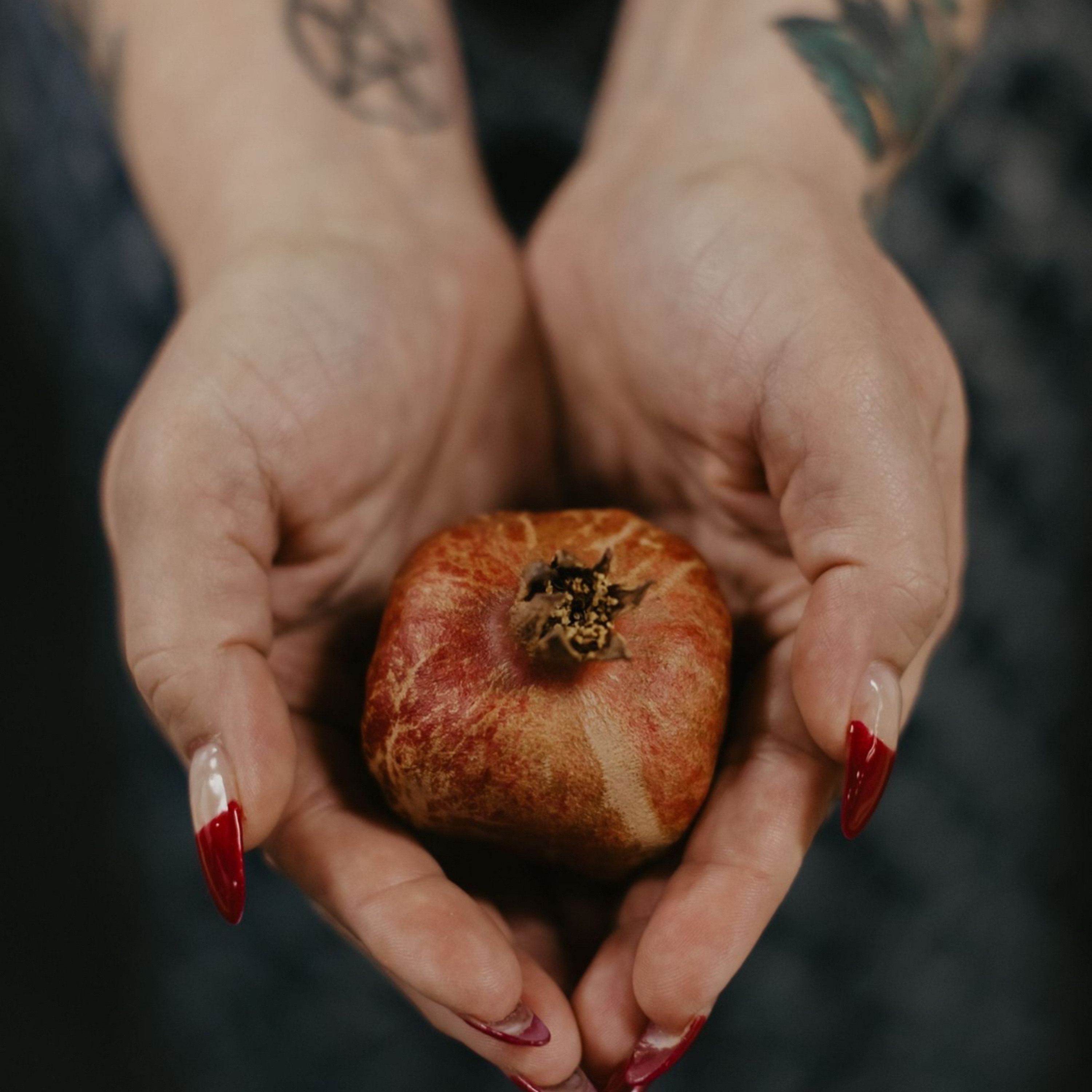 The Persephone Program: Astrology & More