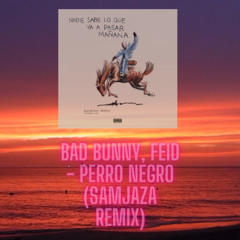 Bad Bunny, Feid - PERRO NEGRO (samjaza remix)