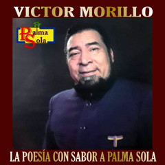 A Don Rómulo Gallegos