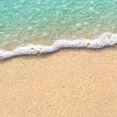 The sandstep