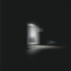 ECHOES OF YOUTH [#01]