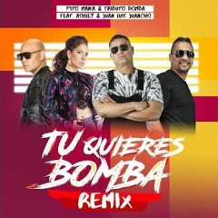 Pito Manía & Tributo Bomba ft. Ashley & Juan Luis Juancho | Tu Quieres Bomba (Remix)
