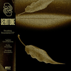 Serotone - Berlin Dreams || Hang Tough || Premiere