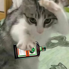 liquor bars 1