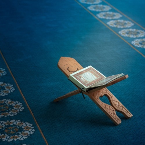 سورة الفتح | Surah Al-Fath | سكون القرآن | تلاوة خاشعة
