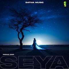 Seya Slowed & Reverb Gims Morad