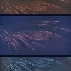 SHALOU X RAZM - MEH.