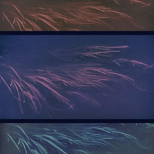 SHALOU X RAZM - MEH.