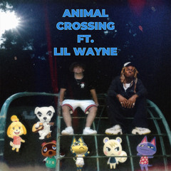 Animal Crossing (feat. Lil Wayne)